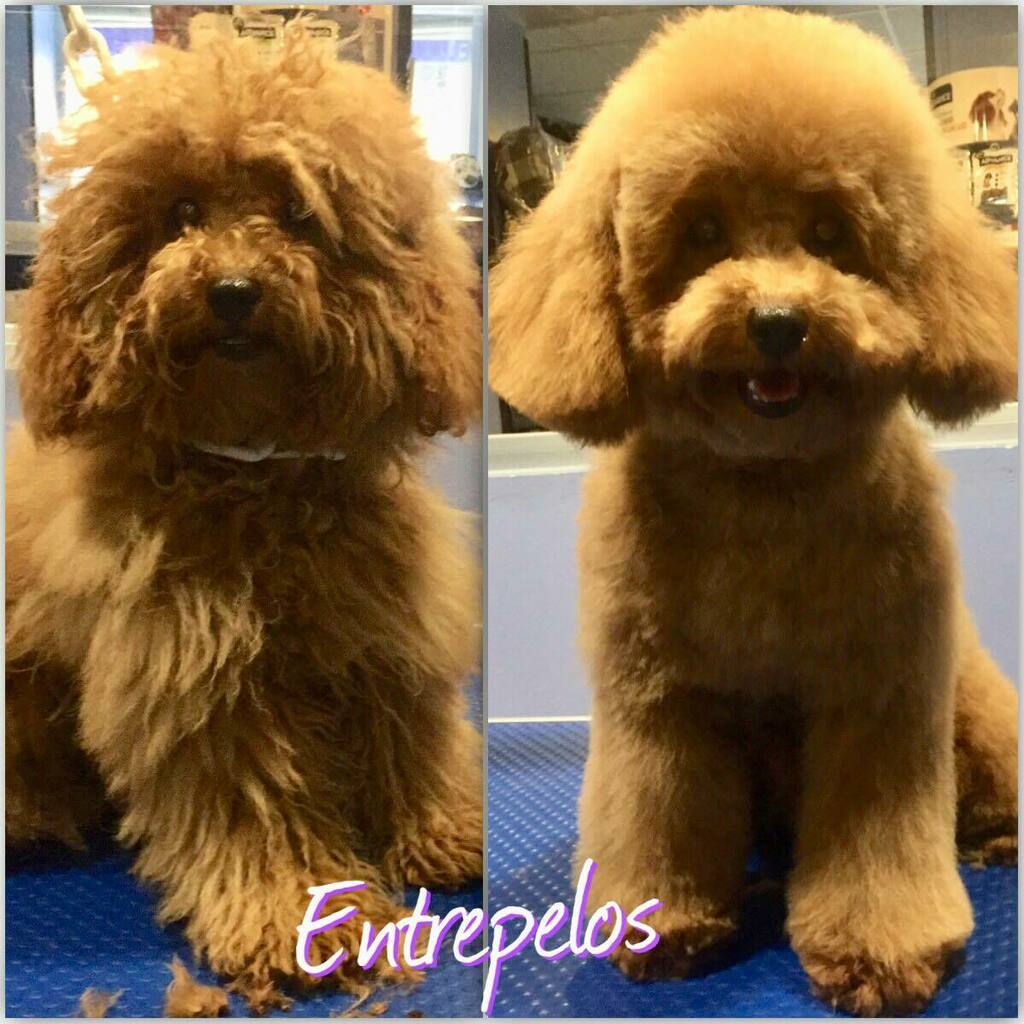 Cambios que enamoran.💜💜💜💜