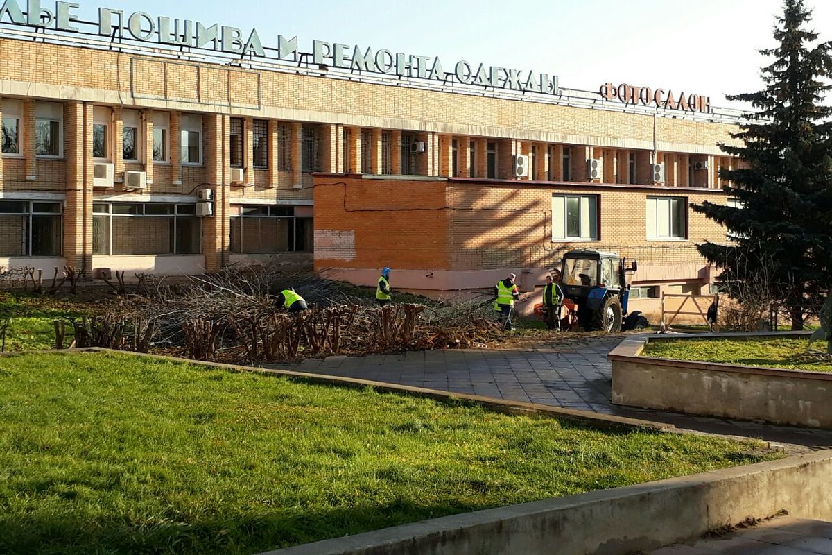 klintwit's tweet image. Спиливают деревья у Элеганта