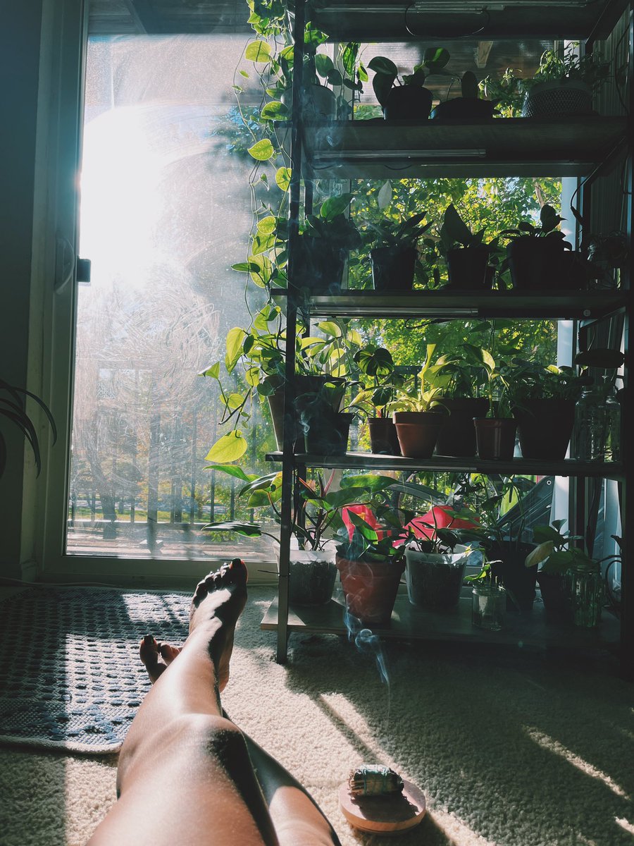 _Livestrongg's tweet photo. flowing, not forcing. 

may you have a beautiful november. 

🌱 https://t.co/Ek1V1JHwYj
