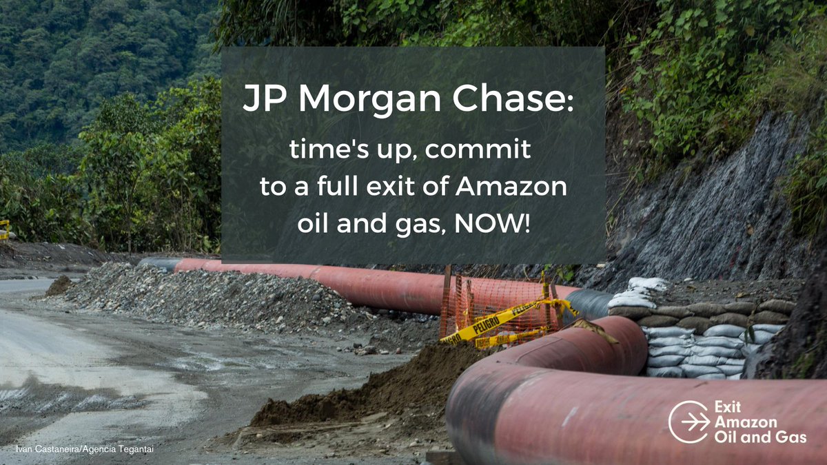 eric_kocher's tweet photo. .@Chase, the fossil fuel era is over! It’s time to take responsibility to protect the Amazon &amp; our environment. We demand an immediate adoption of a policy to exclude financing &amp; investments for all oil &amp; gas activity in the Amazon biome.
#ExitAmazonOilAndGas and #EndAmazonCrude https://t.co/OZBcnG8Xkz
