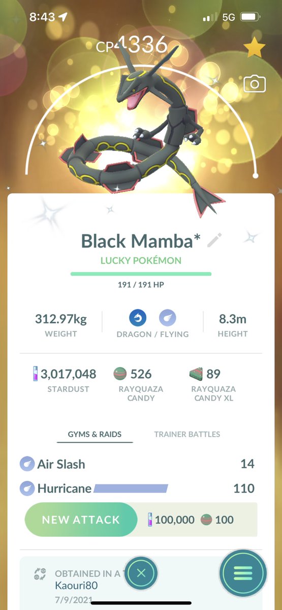 spruesnstuds's tweet photo. In this edition of #maxoutmonday, we have my favorite shiny Pokémon which also happens to be a shlundo soooo obviously this ray ray’s full potential must be realized. 💪💪💪#pokemongo #shinypokemon https://t.co/svlWx7fZBj