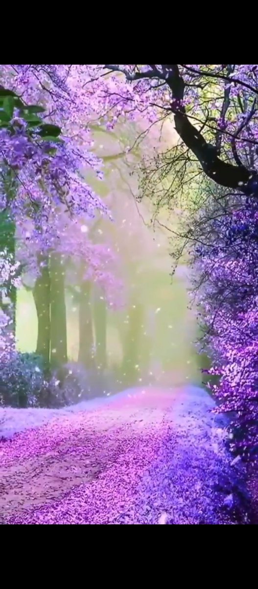 Good afternoon 💜