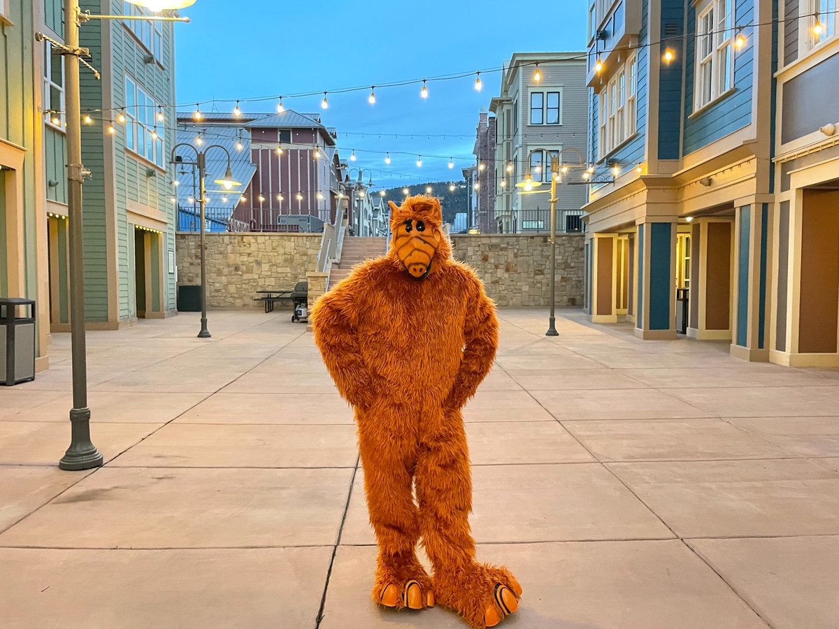misterbakerNFT's tweet photo. Gm, hope everyone had a great Halloween. Alf hit the Park City streets with the fam and about 10k other people! #alf #bringbackalf #parkcity https://t.co/rlI6PD1ONS