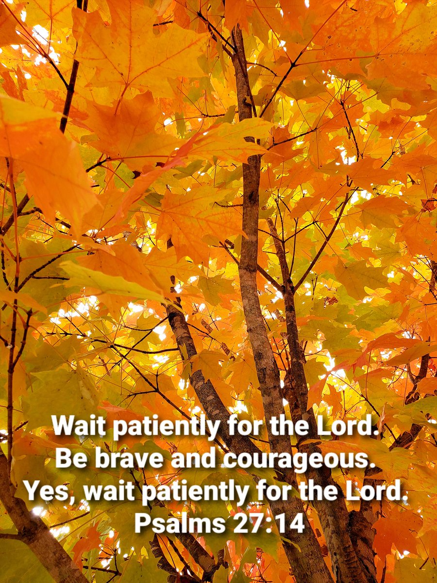 John4_36's tweet photo. Lord, our courage and our bravery come from You! As we wait for You and the fulfillment of every promise You have made, empower us with strength and courage. May we be brave warriors who stand for You no matter what the cost! #deLIGHTinHIM https://t.co/dKr0QggtH9