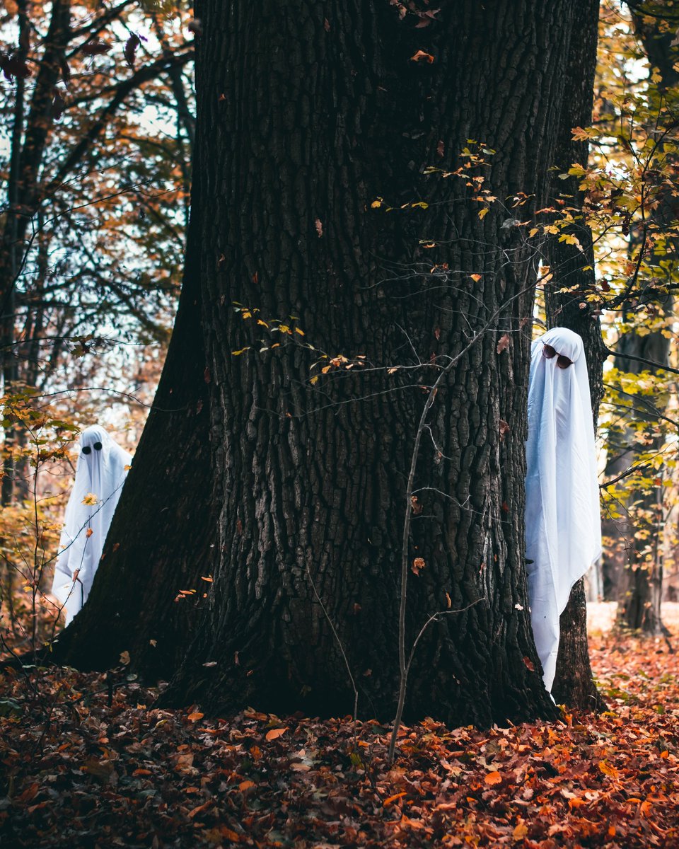 alex_windu's tweet photo. Had fun at yesterday's Halloween photoshoot. #SpiritHalloweekend #photoshoot #autumncolour https://t.co/7VP8aNKi00