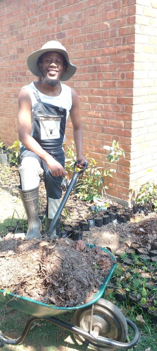 jongiswoods's tweet image. #treeplantingseason @jongiswoods