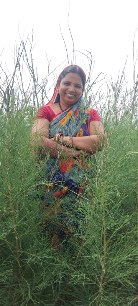 TheLittleAnge16's tweet photo. "Someone is sitting in the shade today because someone planted a tree a long time ago.” said by Warren Buffett.
So thank you so much 🙏🙏 Amita Didi(Puri) from our little angel Family for planting more then 1 lakh Neem tree 🌴 and many other plants.. 
Jay Jagannath 🙏🙏 https://t.co/ohiYssWejD