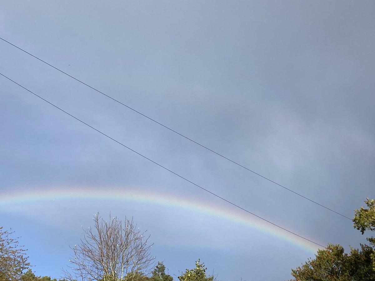 Ginny Walker 💛💙🇺🇦 tweet media