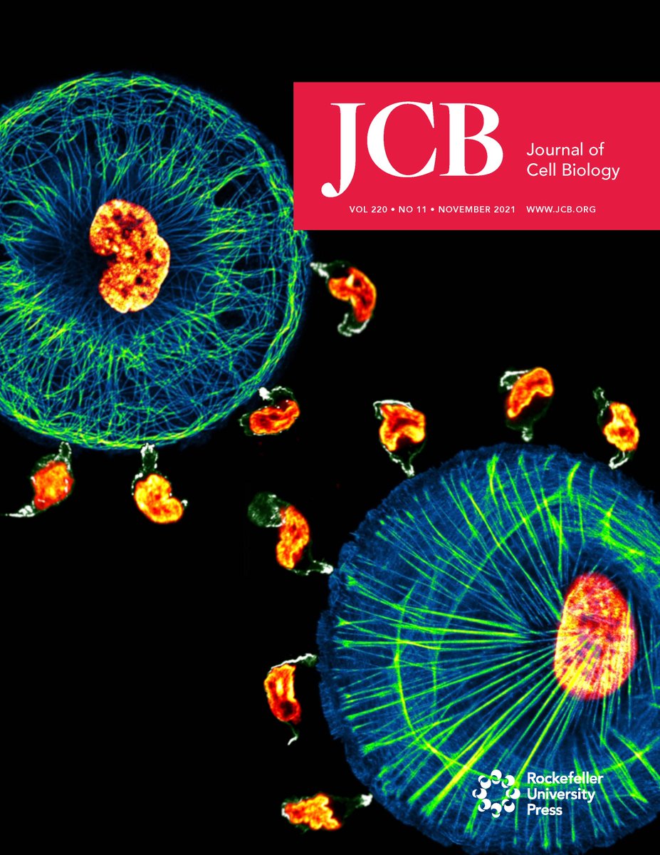 Journal of Cell Biology tweet media