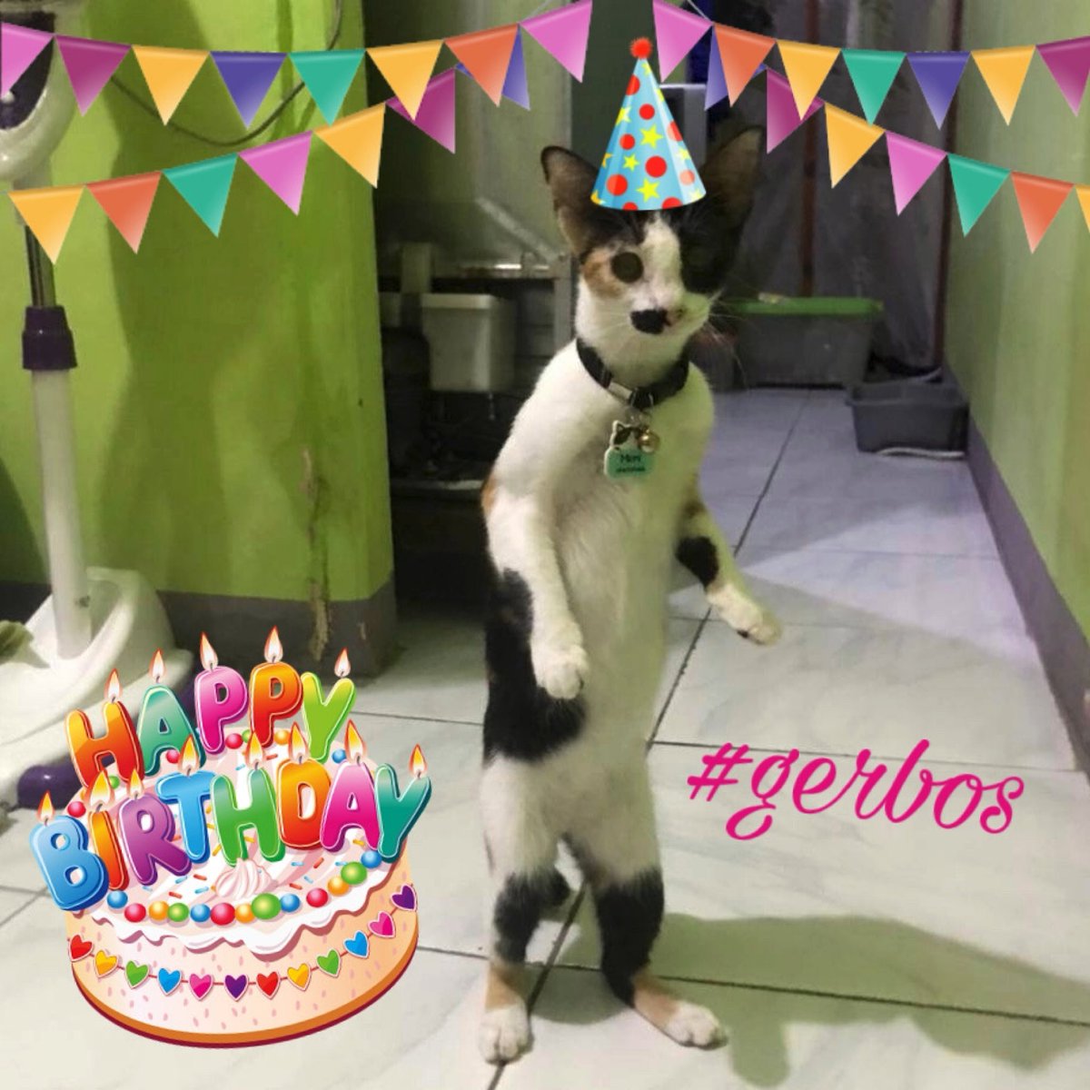 wwiggies's tweet photo. Happy Birthday Mori wanita karir, wanita hebat, independent woman, gerbos foreva
#gerbos

wishnya aamiin ya 

tag @moribestgirl @dndpstt https://t.co/0mfOz6Kj2g