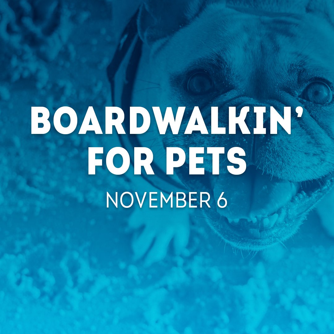 OCMaryland's tweet photo. Come out and support the Worcester County Humane Society at the 21st Annual Boardwalkin’ for Pets walk-a-thon! Bring your four-legged friend or adopt a shelter dog for the day and stroll down the Boards. 🐾For details, visit: https://t.co/uvBtzVbjoF https://t.co/IWIhLDcXGh