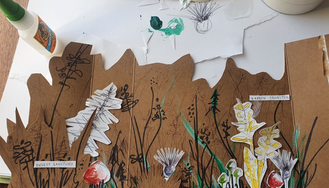 Plantlife Cymru tweet media