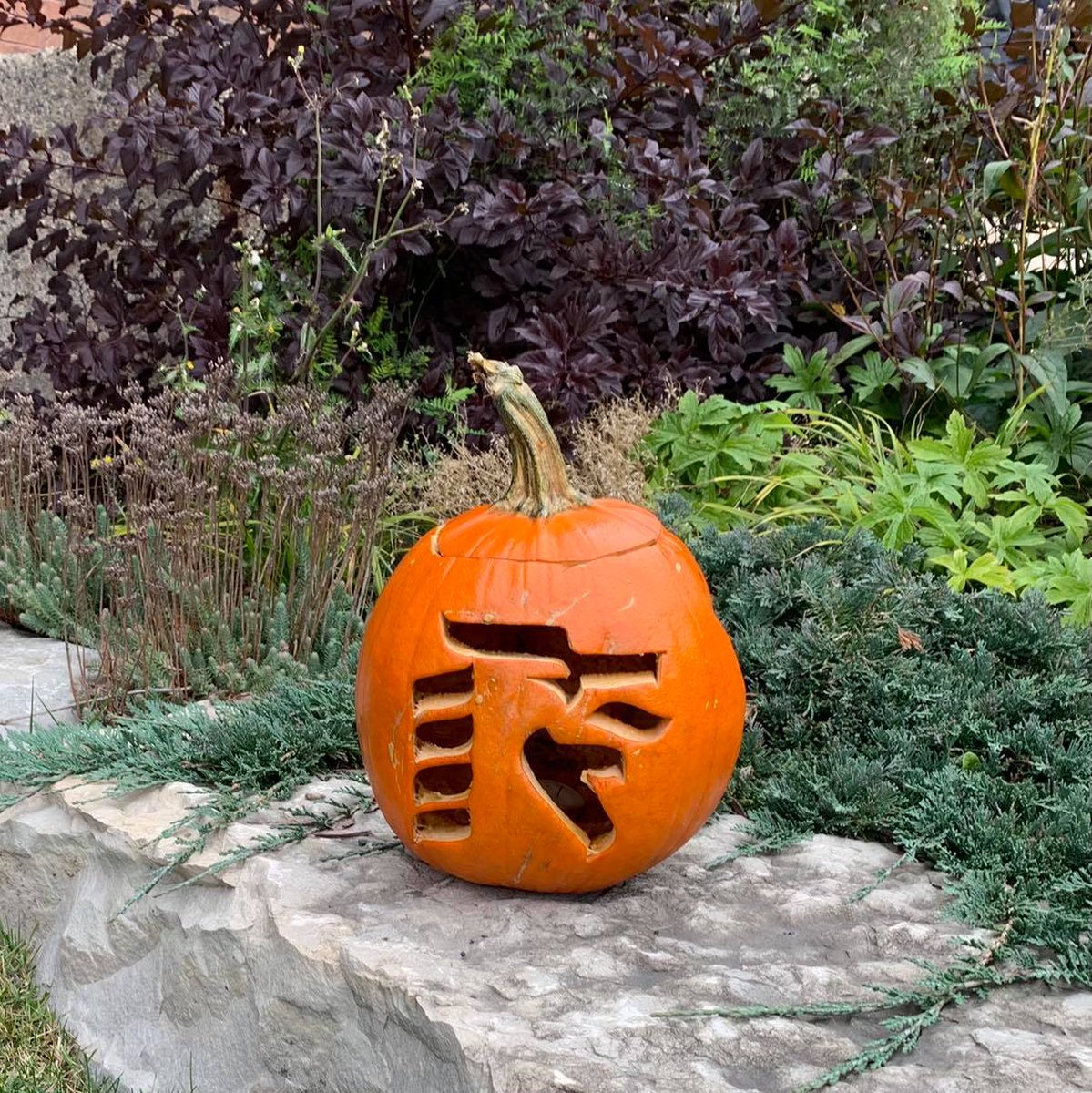 CambrianRD's tweet photo. We hope everyone had an awesome Halloween!🎃 Here's a photo of the pumpkin carving we did using our waterjet cutter. If you are interested in using this equipment for your project needs, reach out! https://t.co/owRh4fSNPA #MachineMondays #WaterjetCutter #CollegeInnovation https://t.co/VdRJTxQTso
