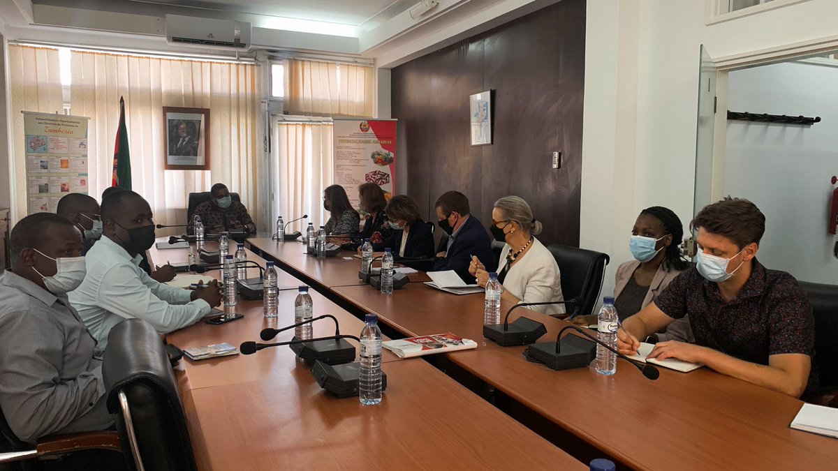 UNFPAMocambique's tweet photo. #HighLevelVisit 📍Quelimane, Zambezia🇲🇿
Day 1️⃣ : Ambassadors from Sweden, Canada, UK, Finland & UN Representatives met with the Provincial Governor Pio Matos & jointly discussed opportunities to meet the needs of women & girls. 🙋🏽♀️
#LeaveNoOneBehind https://t.co/pnx5PlMzNk
