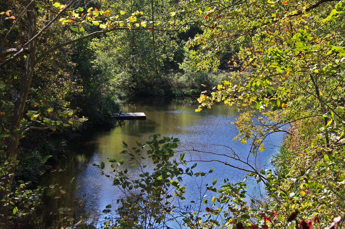 With deep sadness, we learn Roma Earles passed away over the weekend. Below is a photograph of Roma and Ralph Earles at the dedication celebration of their conserved woodlands and prairie near Baldwin City in 2010. Our condolences to the Earles family and many friends.