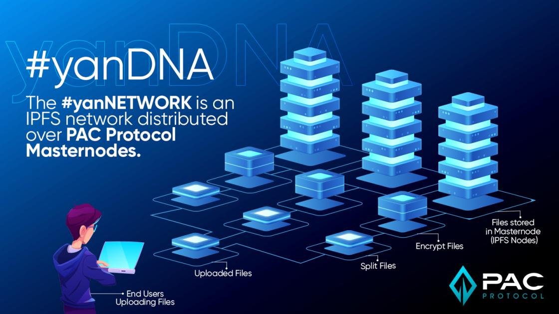 TimMeie54379343's tweet photo. @LunarCRUSH Everyone should take a look at what @PACcoinOfficial is building.
#yanDNA is bringing real security to your data.
#yanNetwork
$PAC
$Yan https://t.co/LCNfxUNuc5