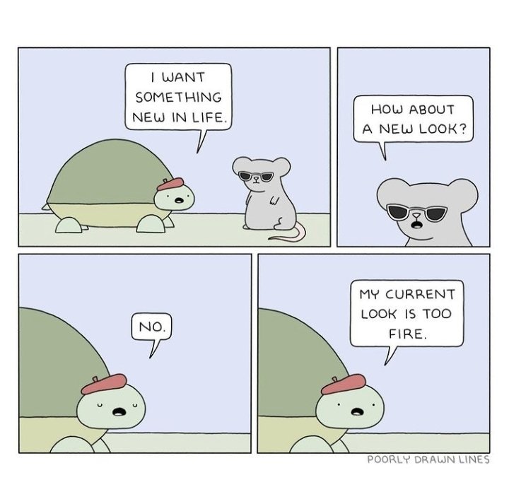 IndianItcan's tweet photo. 🔥🔥Monday Energy🔥🔥
@poorlydrawnlines
#turtlememe #MondayMotivation #fire #feelgood https://t.co/GuCDcoO1WJ