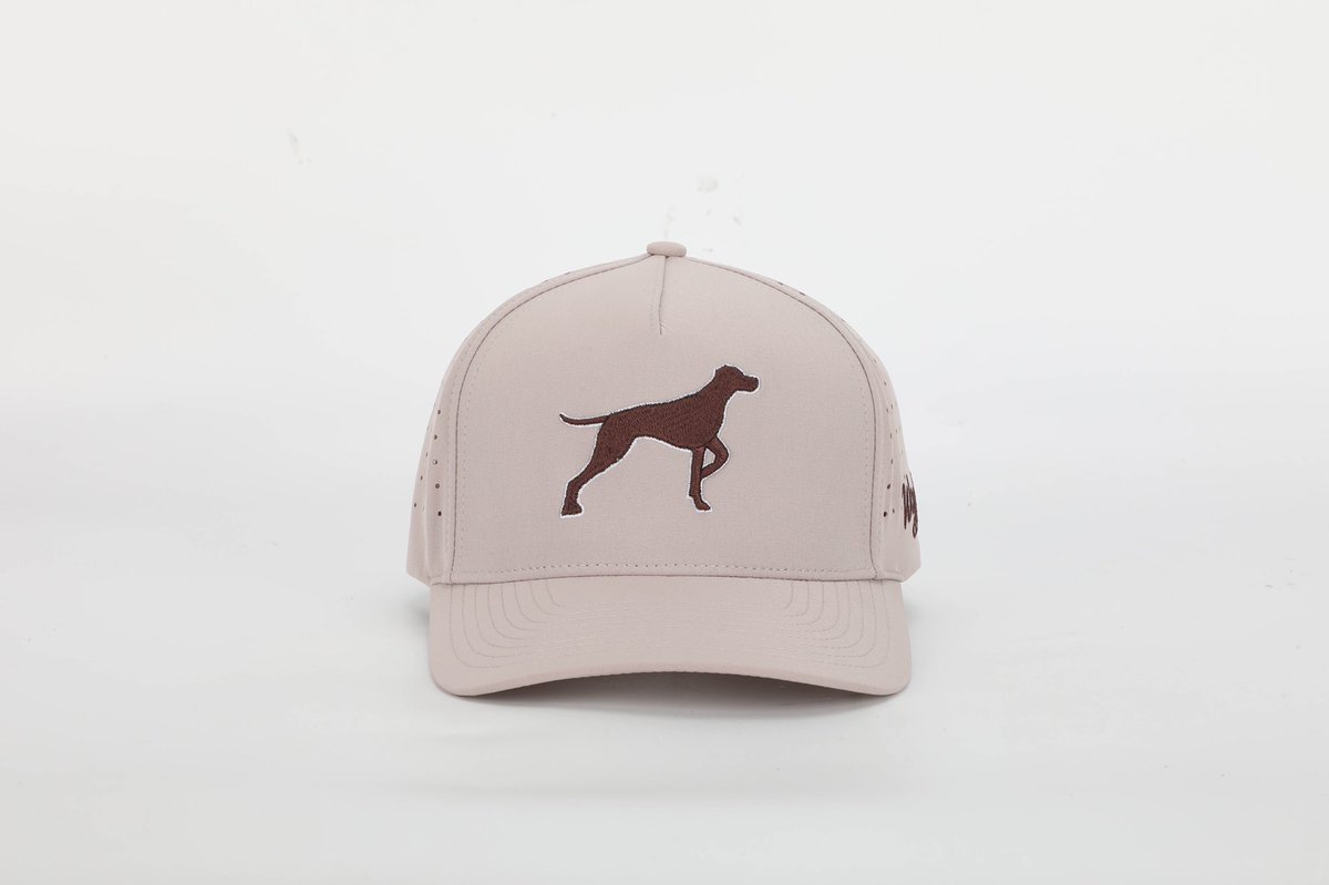 getyourwaggleon's tweet photo. GIVEAWAY!  We want to see pictures of your bird dog (or non bird dog)! Retweet and comment on this post with a picture of your dog for a chance to win a FREE HAT! Winner announced Tuesday. https://t.co/5KvpIz3XXo