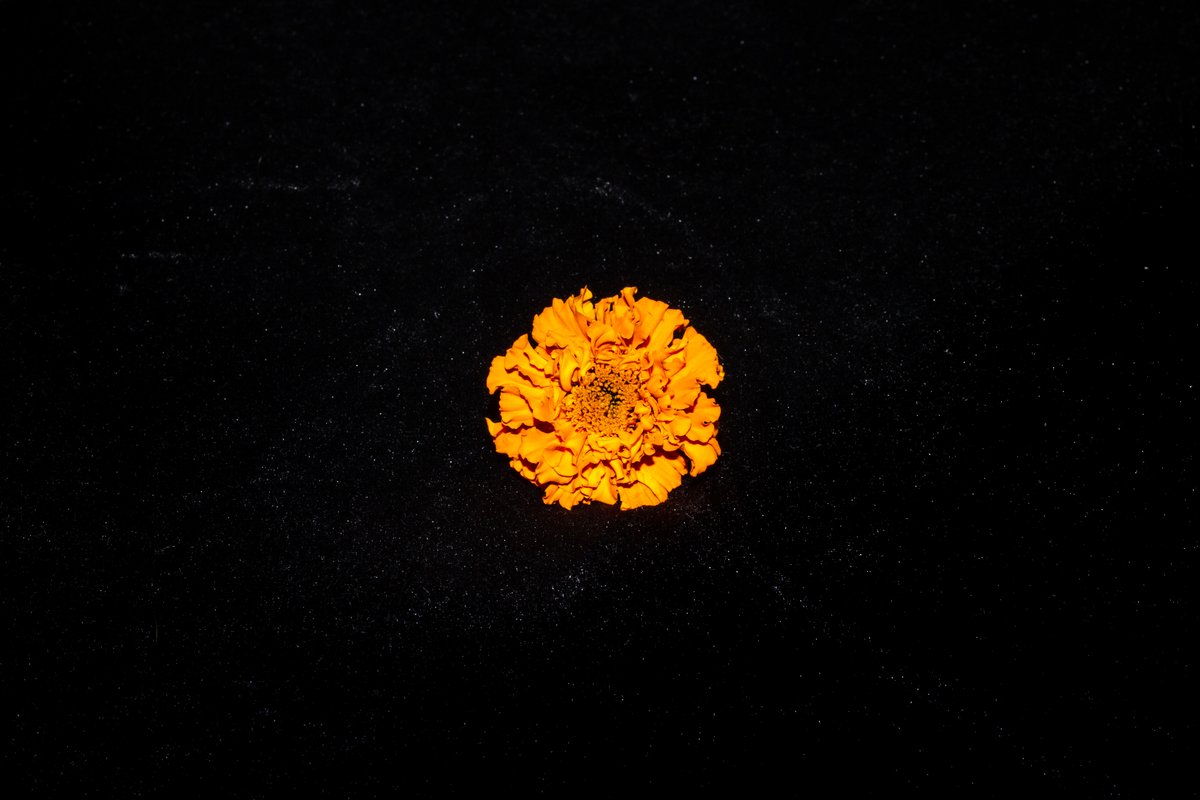 The National Archives Research tweet media