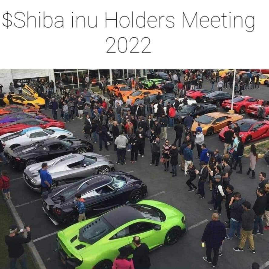 drsteinbach's tweet image. Meanwhile….#SHIBAINU #SHIBARMY