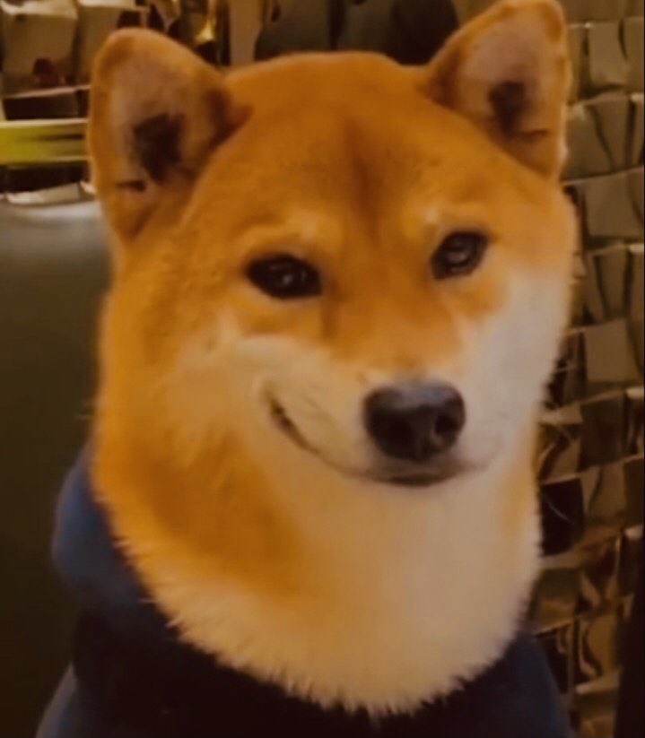 ryoshiJavanese's tweet photo. @krakenfx @brianchoffman #SHIB #SHIBARMY https://t.co/Os8ZLGZf4u