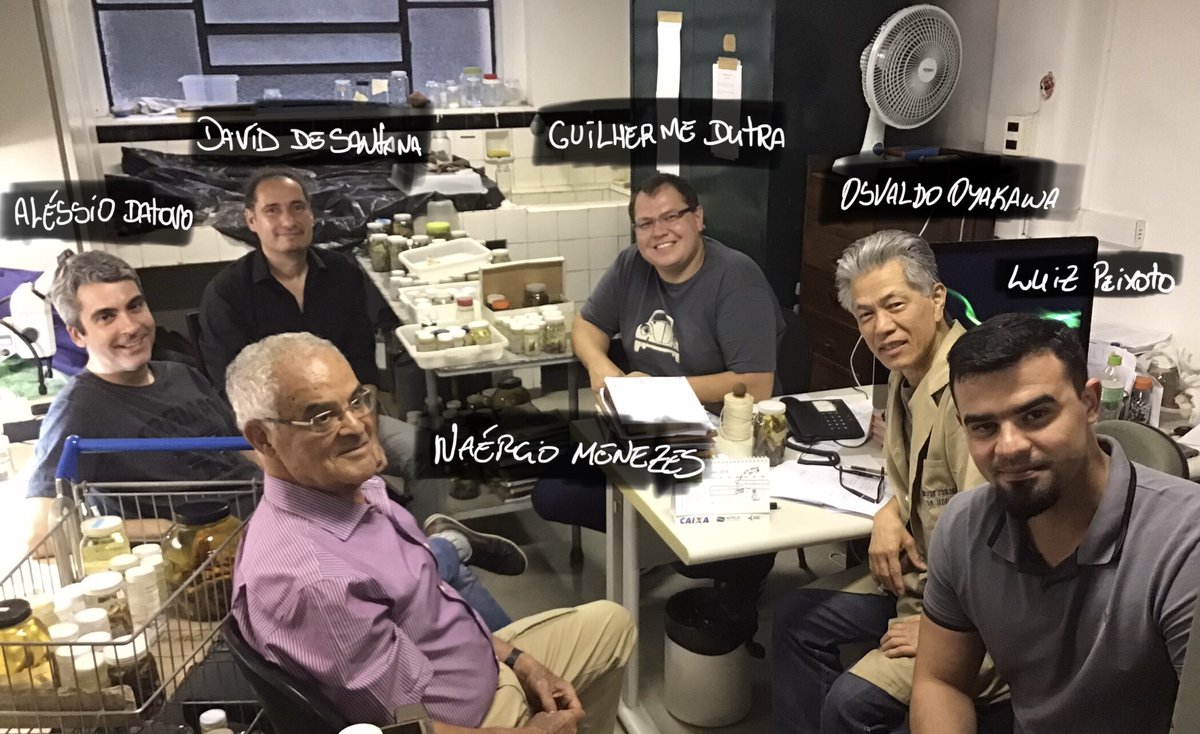 Davidefishes's tweet photo. New species alert! Meet a rare, critically endangered, rapids-loving Apteronotus albertoi -> Dr. Alberto Carvalho @MZUSP for his support generating µCT scan images for ‘‘Diversity and Evolution of the Gymnotiformes’’ @AgenciaFAPESP @NMNH 
https://t.co/TidnMUbfe6 #asihpub https://t.co/jZpnR7jLWT