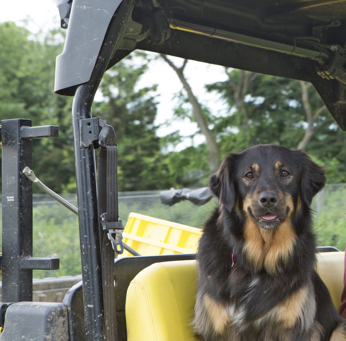 Strom's Farm &Bakery tweet media