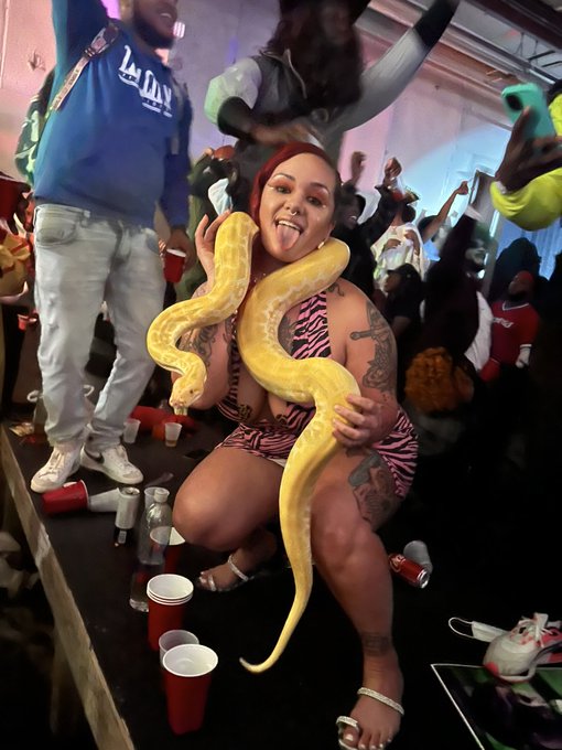 🐍😜😘🐍 https://t.co/QrmZqLuPAY<a href="/tag/wagonwednesdays"class="tags"><span>#wagonwednesdays</span></a>