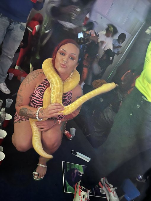 🐍😜😘🐍 https://t.co/QrmZqLuPAY<a href="/tag/wagonwednesdays"class="tags"><span>#wagonwednesdays</span></a>