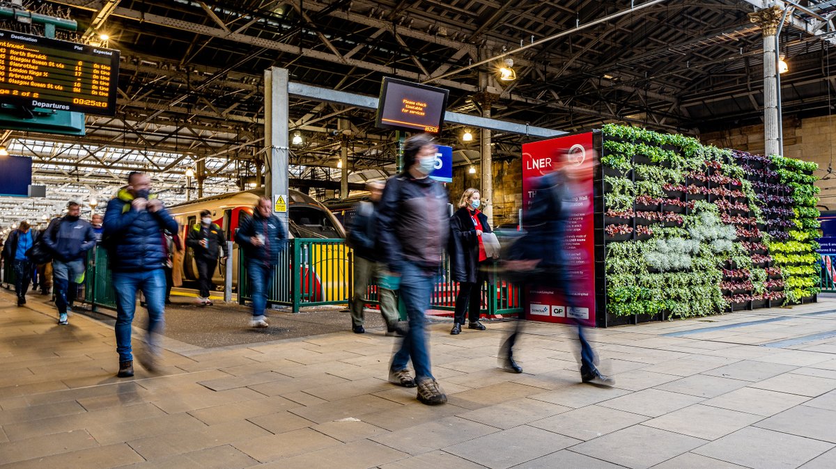 LNER's tweet photo. Over 600 individual plants from 6 species have been used to create the #AzumaLivingWall which has been made to look like an LNER Azuma train. The wall will be in Edinburgh Waverley between 1st-12th November to experience in the station so keep your eyes peeled!

#COP26 #ThinkRail https://t.co/736cObSlRT