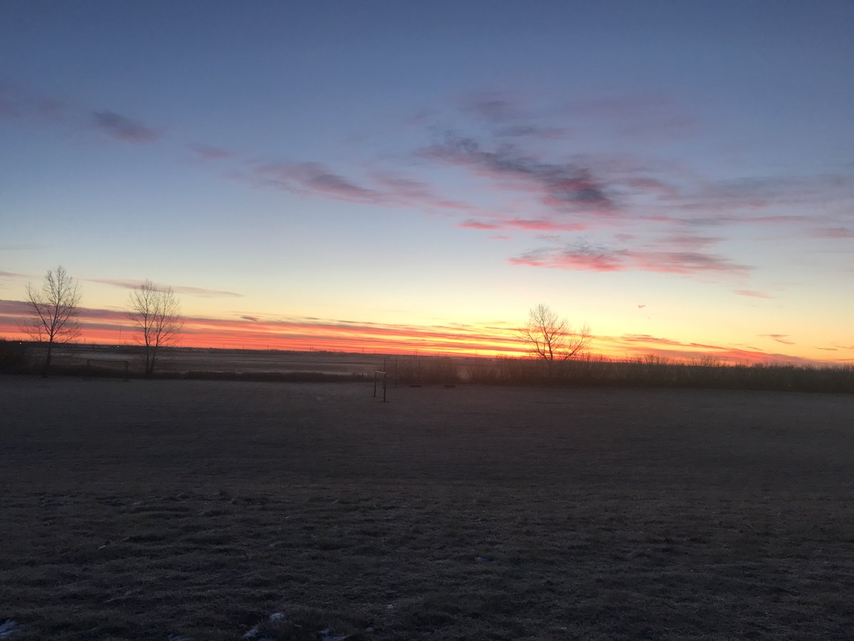 Liza Thomsen RVS tweet media