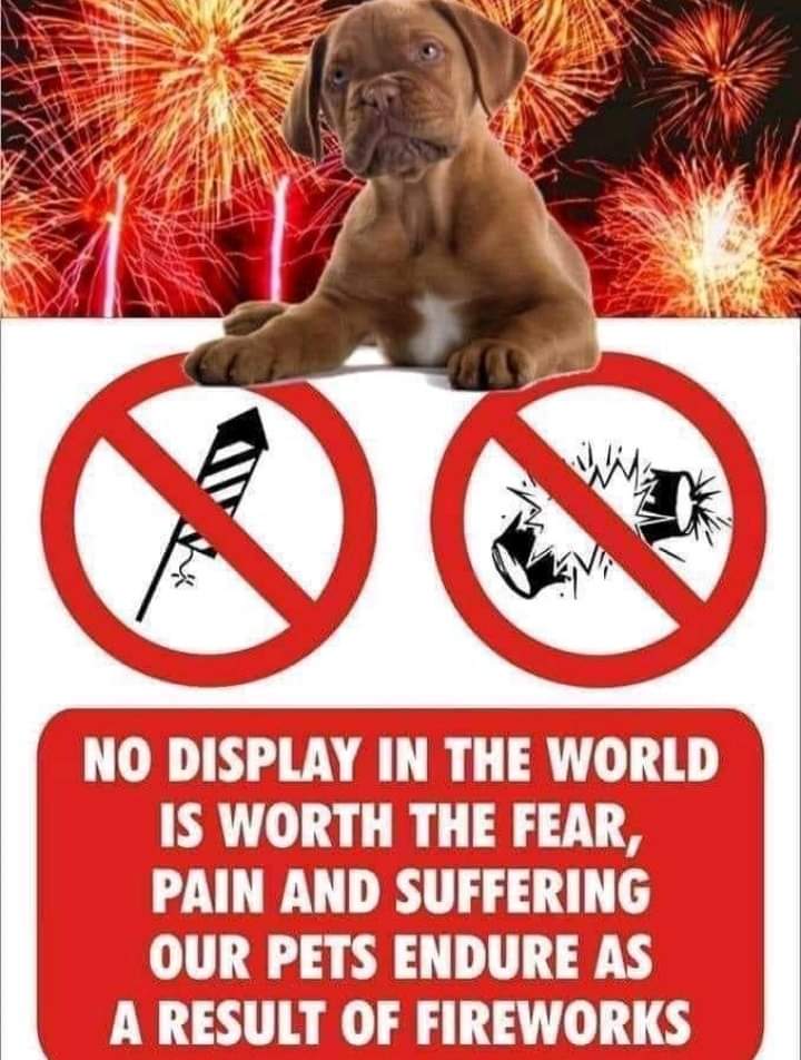 AvanteHealth's tweet photo. Think about your pets. 

#pets #pet #dogs #petsofinstagram #dog #cats #dogsofinstagram #animals #cute #petstagram #love #cat #catsofinstagram #instagram #puppy #of #dogstagram #doglover #animal #instadog #doglovers #dogoftheday #petlovers #catstagram #doglife #catlover #instacat https://t.co/msnwvVwwmt