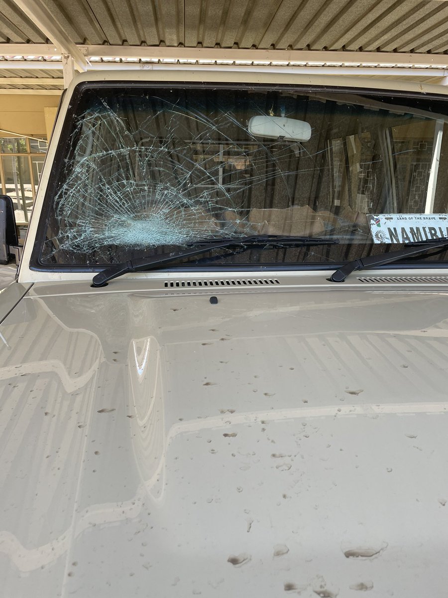 lacekauta's tweet photo. Excellent service from @KingPriceIns #Namibia#..Accident yesterday. It took a 10 minute conversation in the morning, plus pictures of the screen. Order is confirmed before cob . #Excellence #customerservice 👏🏿👏🏿 https://t.co/UlODmbryiM