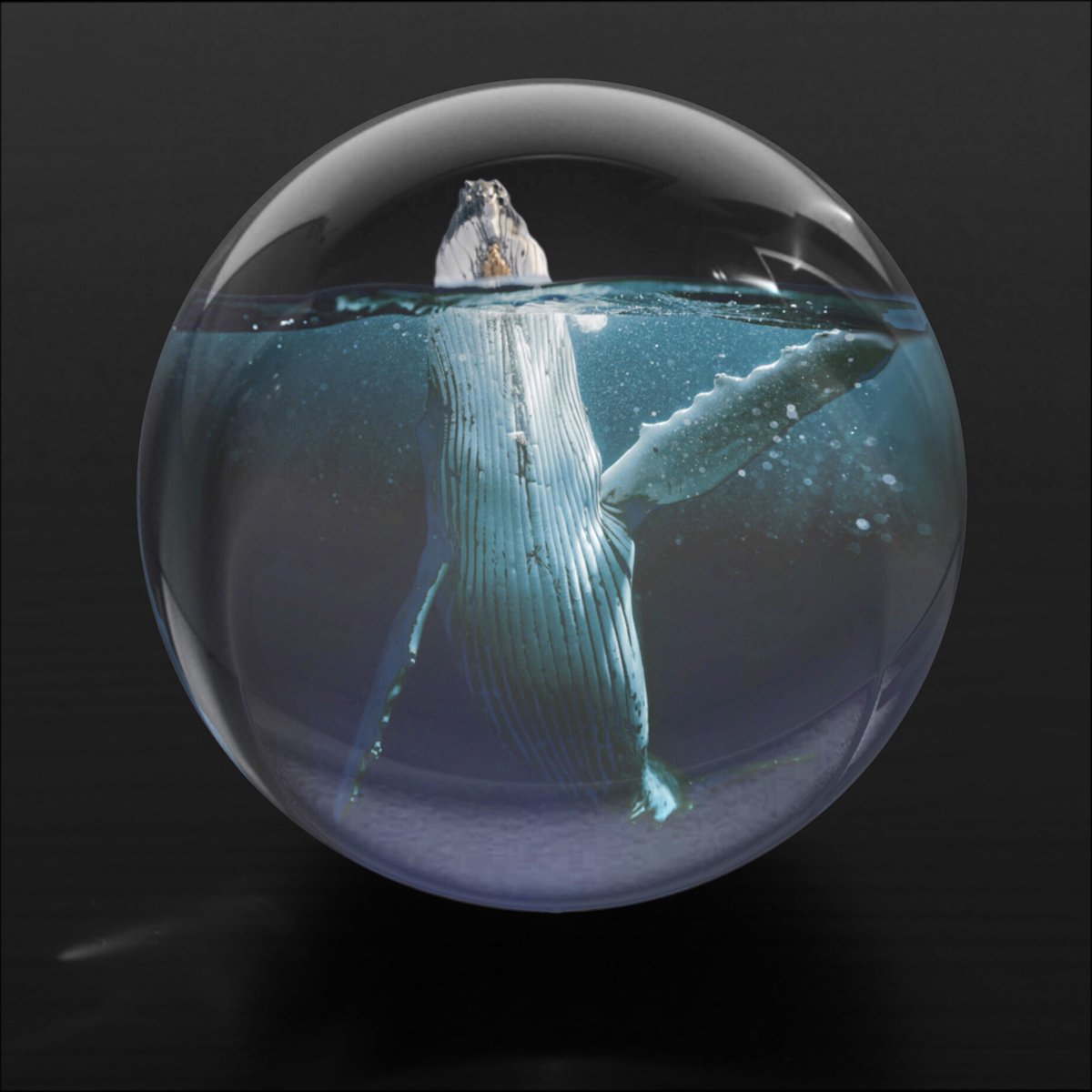 TheCapturedNft's tweet photo. @NftCryptosArt Check out @TheCapturedNft!🌊

You will not only clean the ocean with your purchase but will also get a free unique NFT next Saturday 🎉

Check it out!🚀

https://t.co/M057FWWLmS…… https://t.co/gMzEUZXAJY