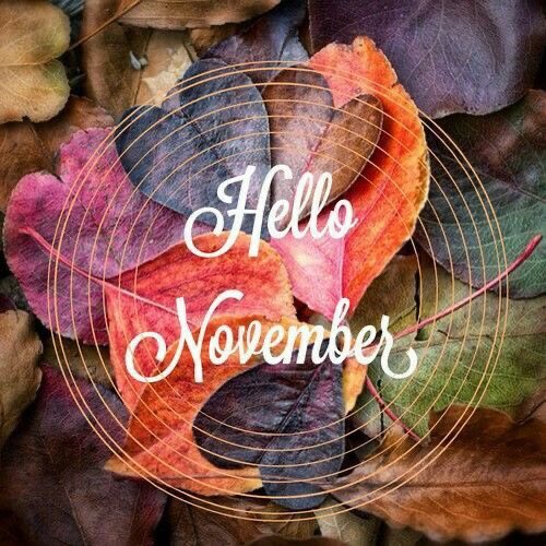 NaturalTroops's tweet photo. It’s November…
It’s N O V E M B E R Fam!!! https://t.co/32B23DTxMU