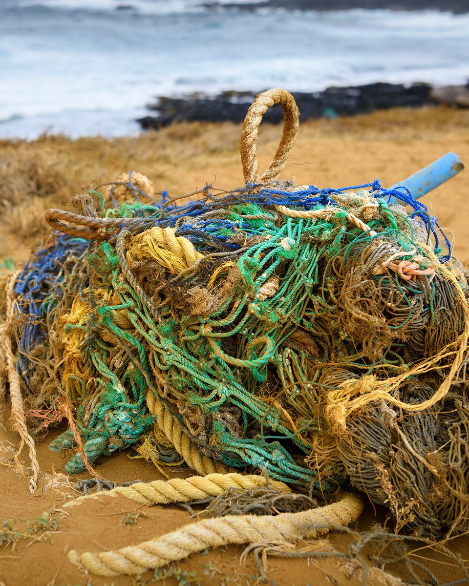 LifeProof's tweet photo. From this...to this...into this. See how we are repurposing old fishing nets to build new cases. ♻️  https://t.co/Mb4zEdviIh #ShowUsYourProof https://t.co/JN9OMcH26d