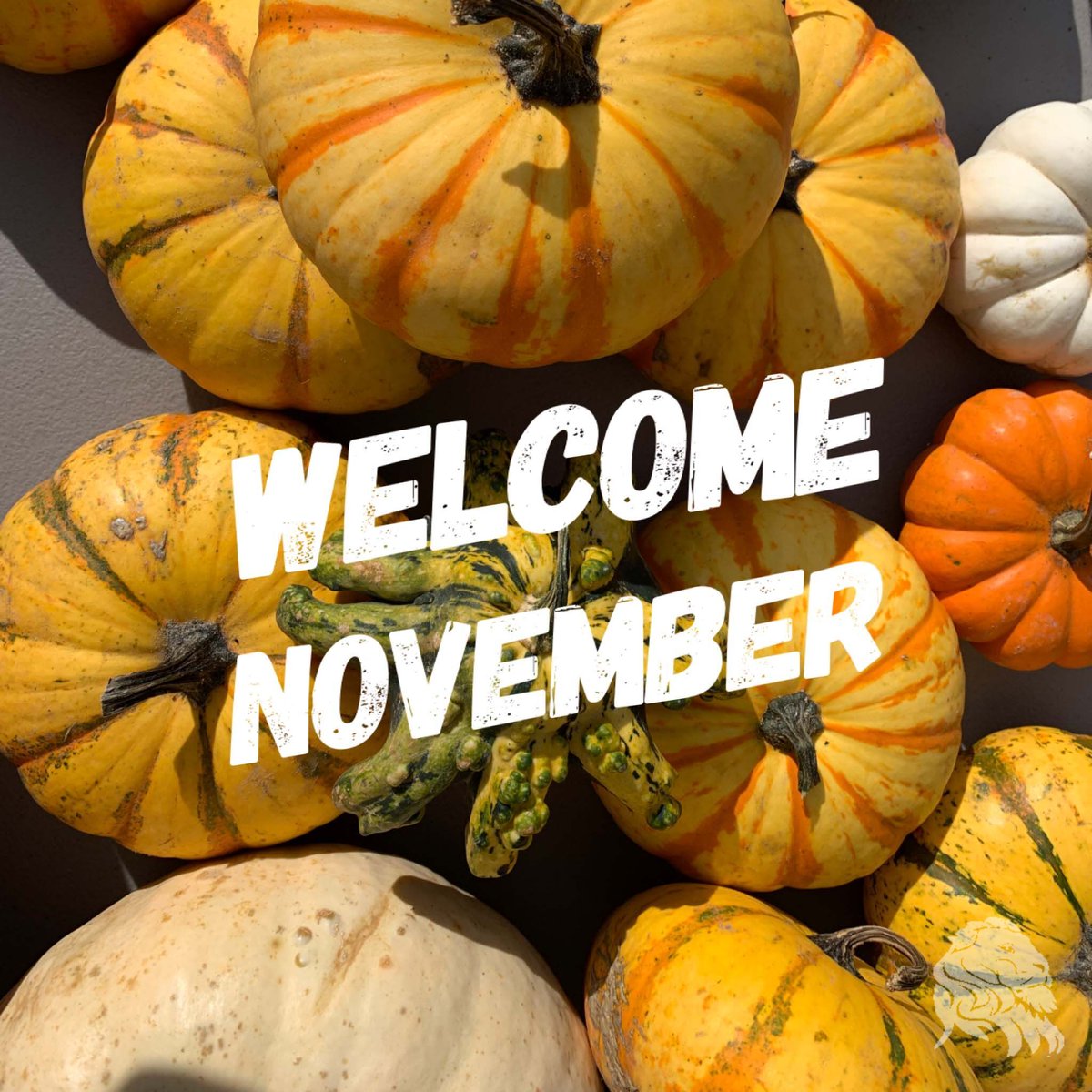 AssocinDerm's tweet photo. When does the holiday season kick-off for you?  
November 1st?  
Thanksgiving?  
Christmas?  
Don't take a holiday from your #skincare routine.  Be sure you have your favorites ready for all the busyness to come.

#hellonovember #november2021 https://t.co/UQYiT5nzb0