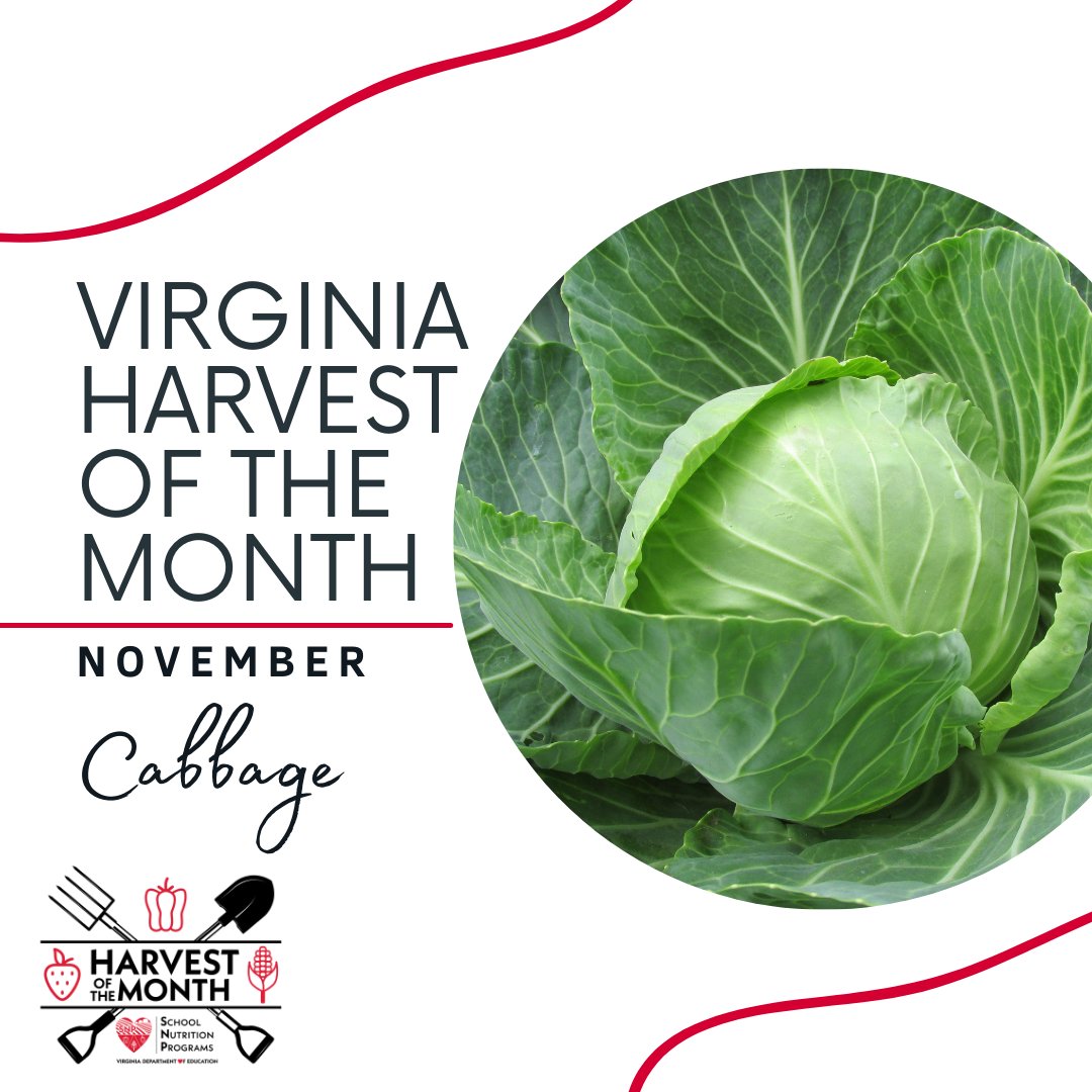 Office of School and Community Nutrition Programs tweet media