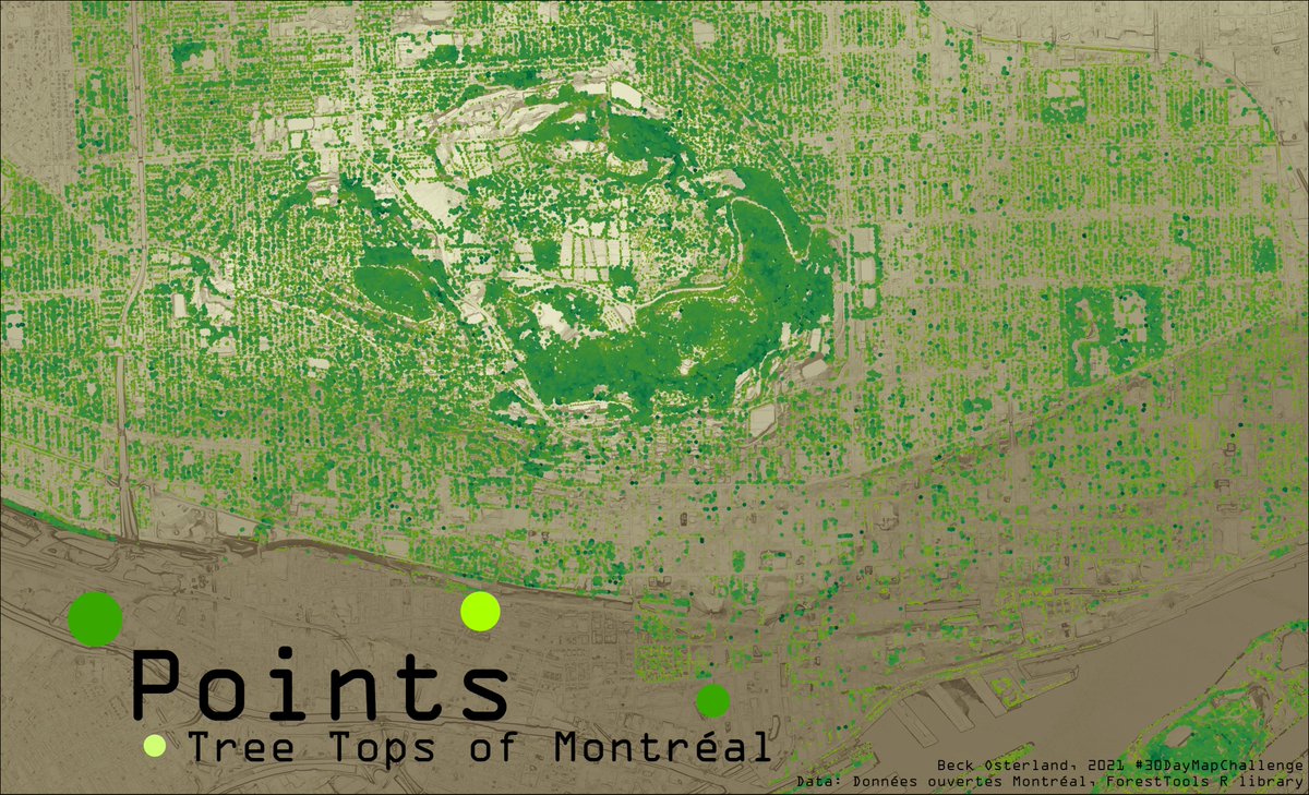 BeckOsterland's tweet photo. Time to post some maps! Thank you @tjukanov for giving us this challenge to make November a little more exciting!
Day 1: Points - Tree tops of Montréal - data:@MTL_DO. Points extracted from CHM using #ForestTools #RStudio library #30DayMapChallenge https://t.co/YmUi3ii33y