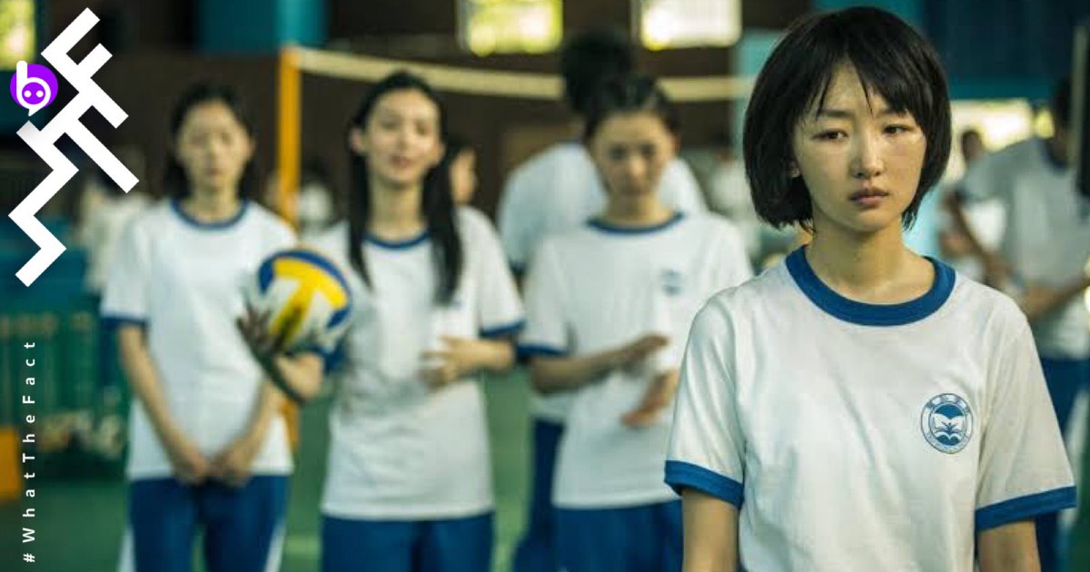 รีวิวซีรีส์ ภาพยนต์ ทุกอย่างที่อยากดู tweet media