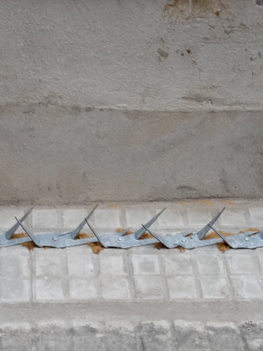 3030prod's tweet photo. Esto no puede ser legal. Semejantes pinchos en vía pública al ras del piso. Un peligro para niñas, niños y transeúntes en general.
Brandzen 2144.
@montevideoIM No puede quedar así. https://t.co/s5MGSnGKOO