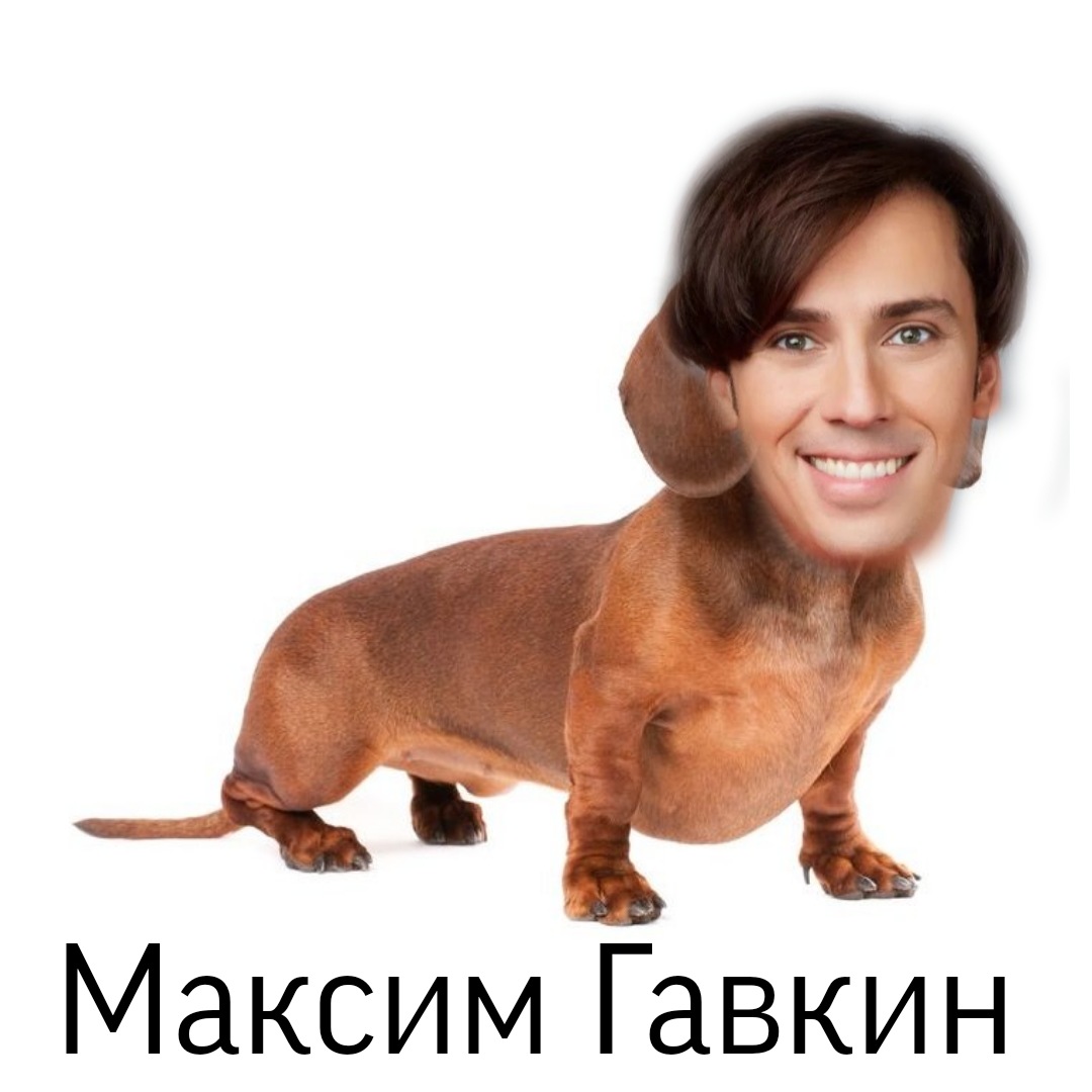 tvikos's tweet photo. Я сделала мем... https://t.co/CVZrR1UMTA