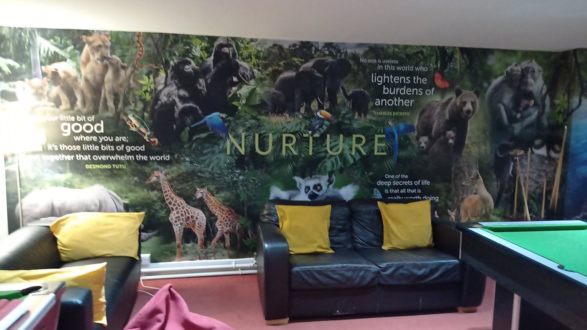 BWPBoarding's tweet photo. New wall mural! We love it! The Games' Room looks EPIC!  #iloveboarding https://t.co/5oUd72ehTc