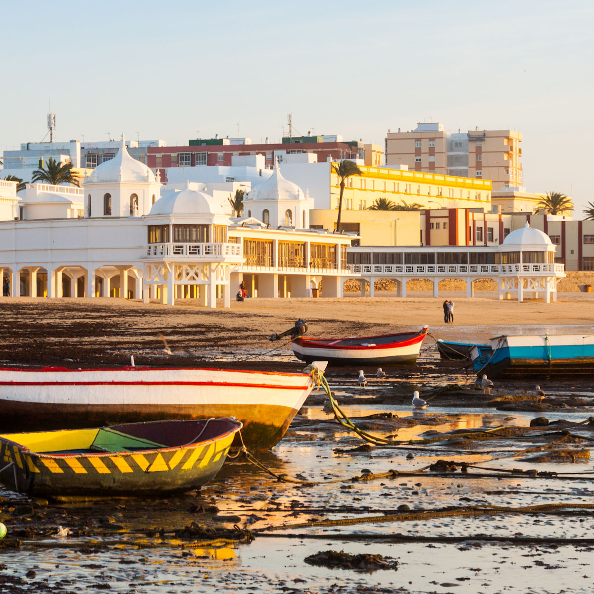 Que adormecida en su soledad se va haciendo inmortal sin que nadie lo sepa...