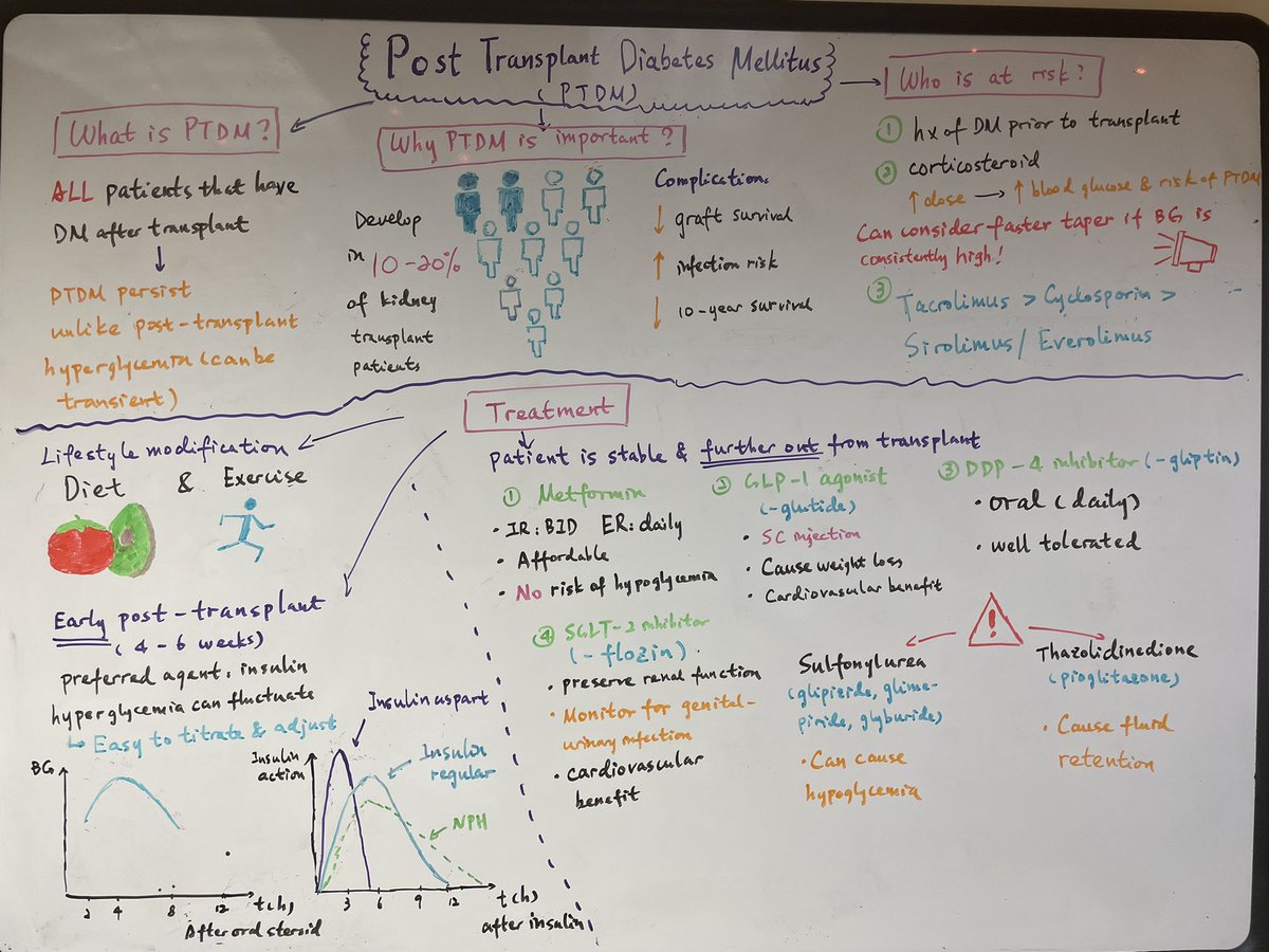 Sarah Bova tweet media