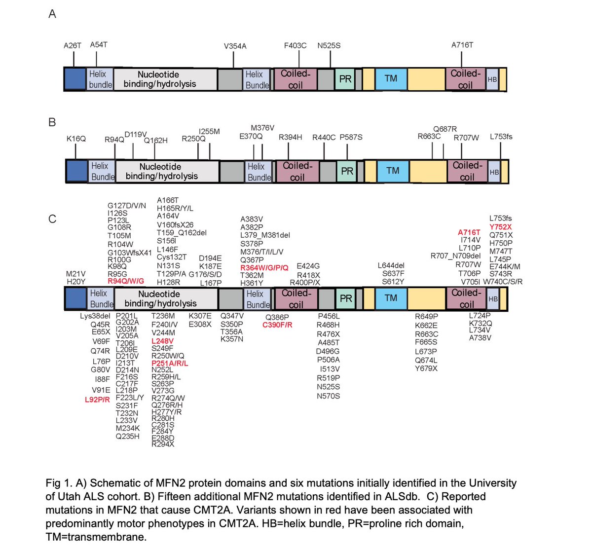 TweetALS tweet media