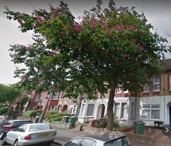 katejay72 tweet media