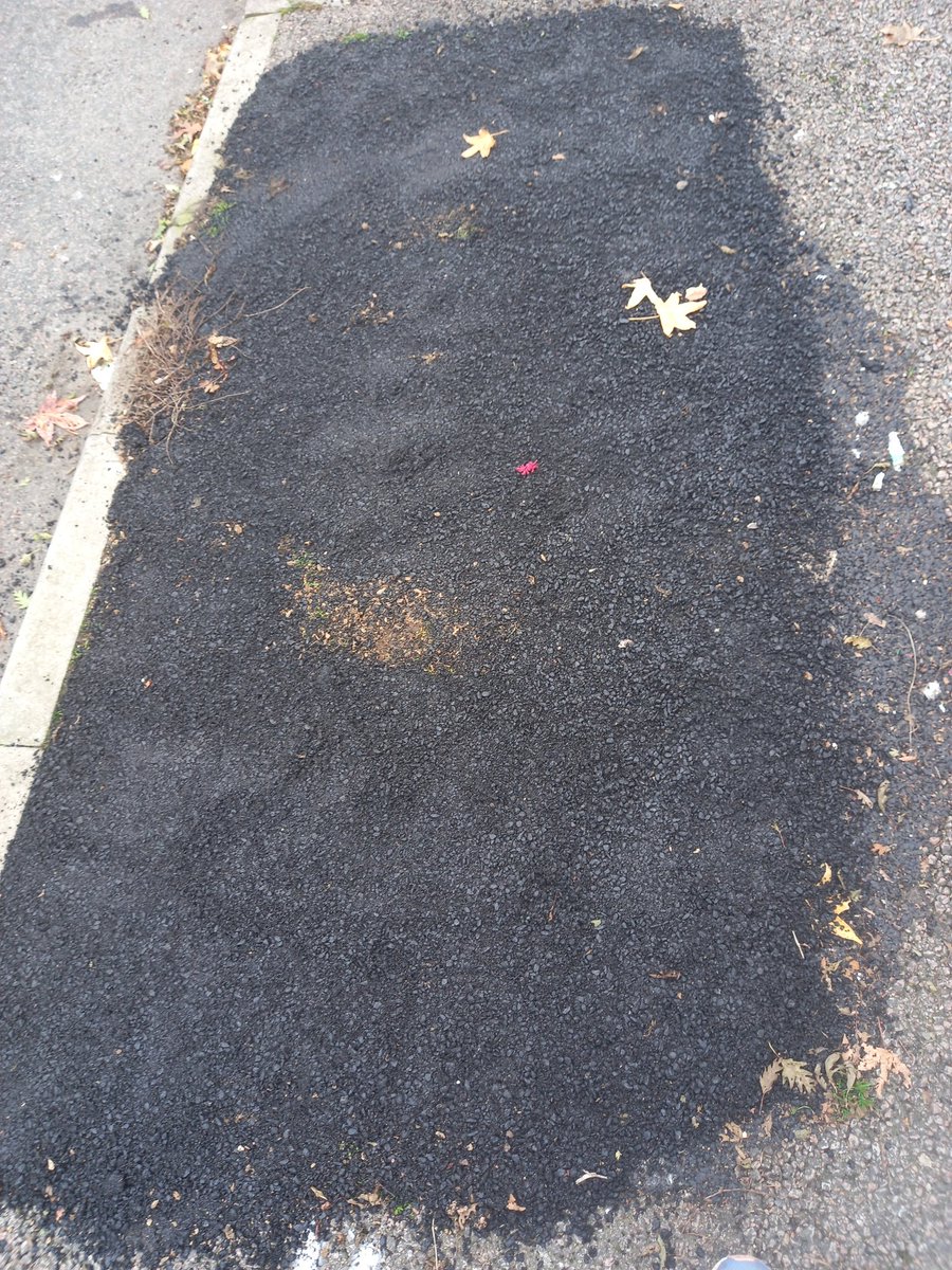 katejay72 tweet media