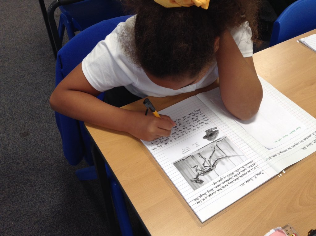 latimerprimary's tweet image. #ClassBL have been investigating fossils this afternoon. We have looked at some pictures of different fossils and have tried to find evidence about what kind of animal it was.