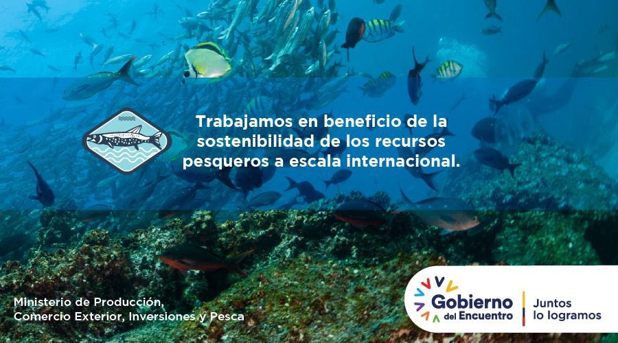 Ministerio de Producción (@produccion_ecu) on Twitter photo ¡Estamos comprometidos junto al sector pesquero con la sostenibilidad y conservación ambiental! Ecuador ampliará zona de protección marina en Galápagos, así lo anunció el presidente de la República, <a href="/LassoGuillermo/">Guillermo Lasso</a>, en la cumbre #COP26 desarrollada en Glasgow, Reino Unido ¡Estamos comprometidos junto al sector pesquero con la sostenibilidad y conservación ambiental! Ecuador ampliará zona de protección marina en Galápagos, así lo anunció el presidente de la República, <a href="/LassoGuillermo/">Guillermo Lasso</a>, en la cumbre #COP26 desarrollada en Glasgow, Reino Unido